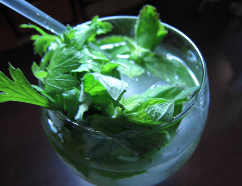 Spanish-style gin tonic