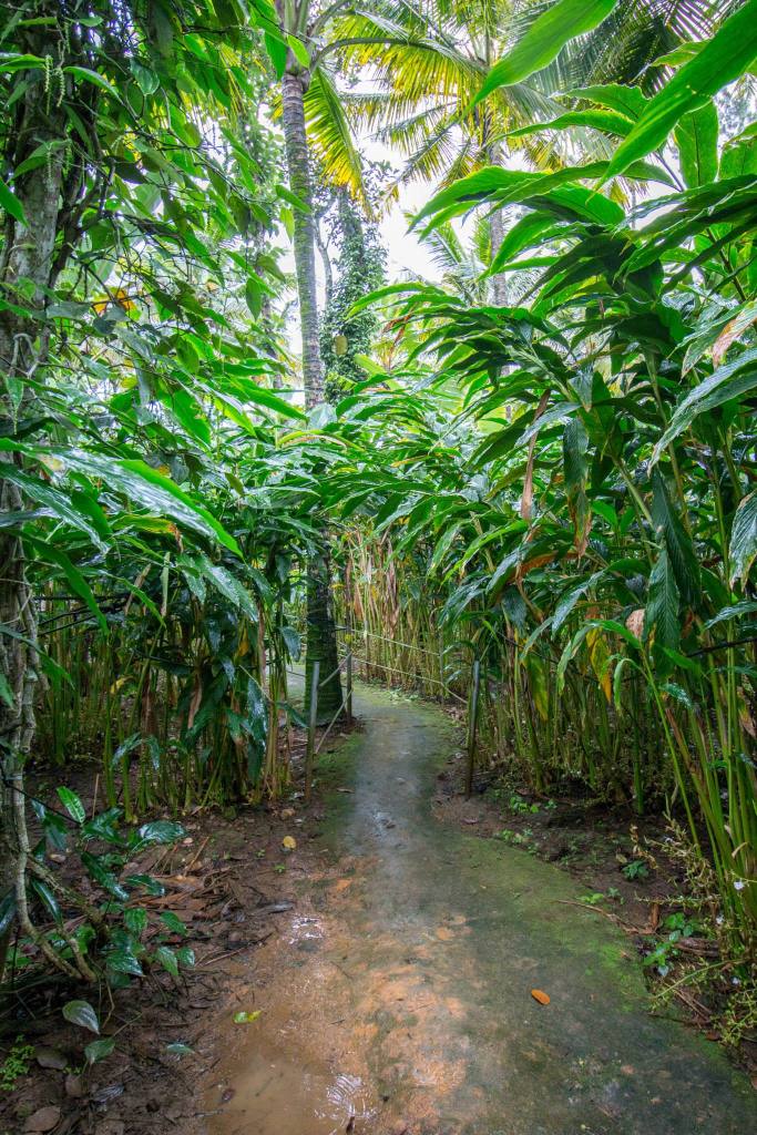 11222927_10152871288607131_470910444472490101_o