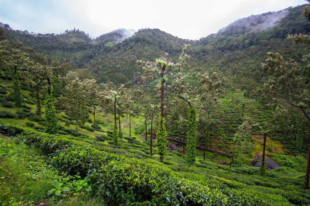 11717402_10152871288002131_3734916765104018075_o